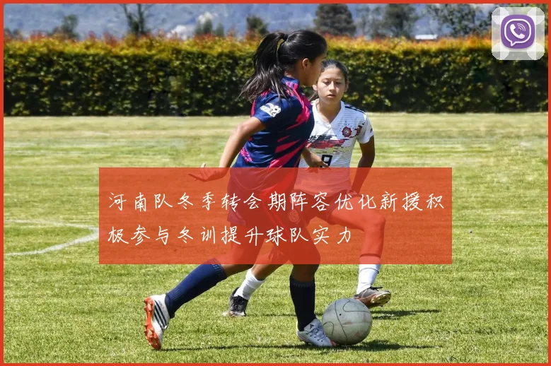 河南队冬季转会期阵容优化新援积极参与冬训提升球队实力